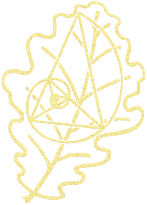 Decorative oak leaf illustration